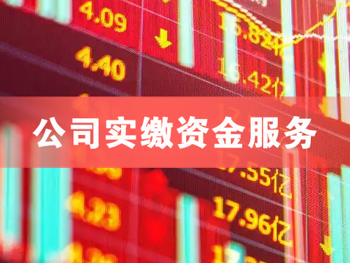 化州公司实缴资金服务