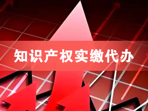 化州知识产权实缴资本代办